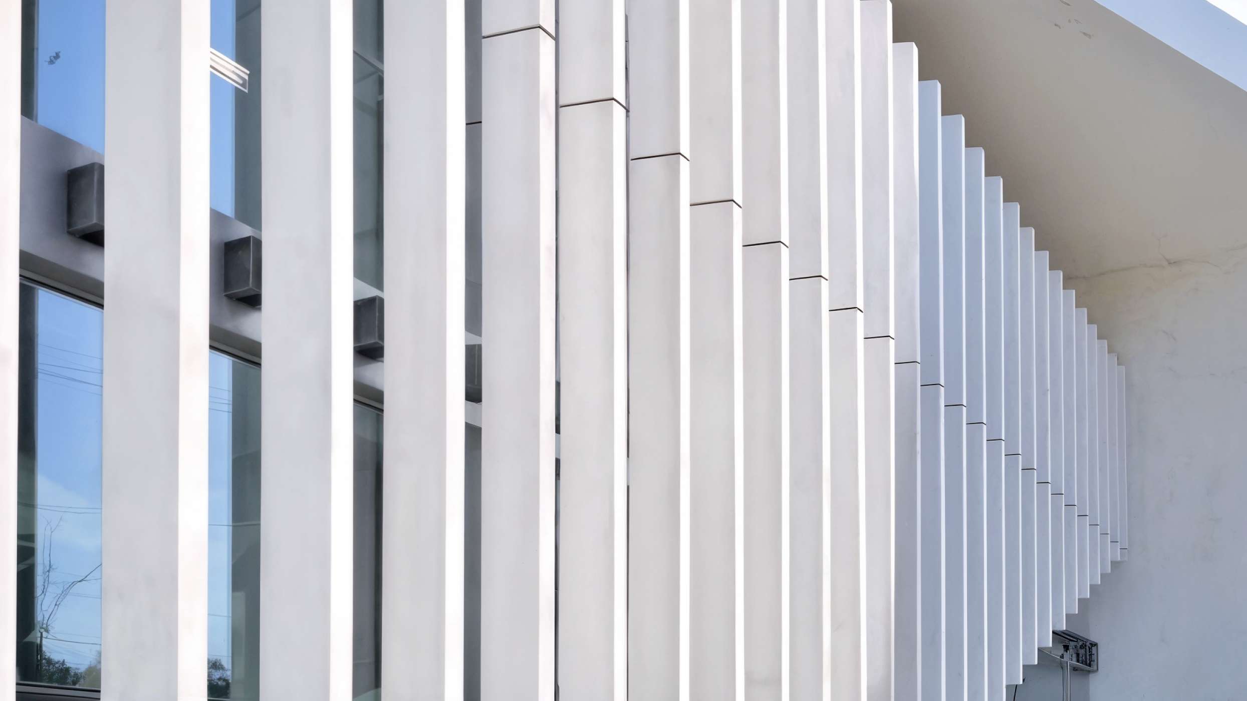Tuja