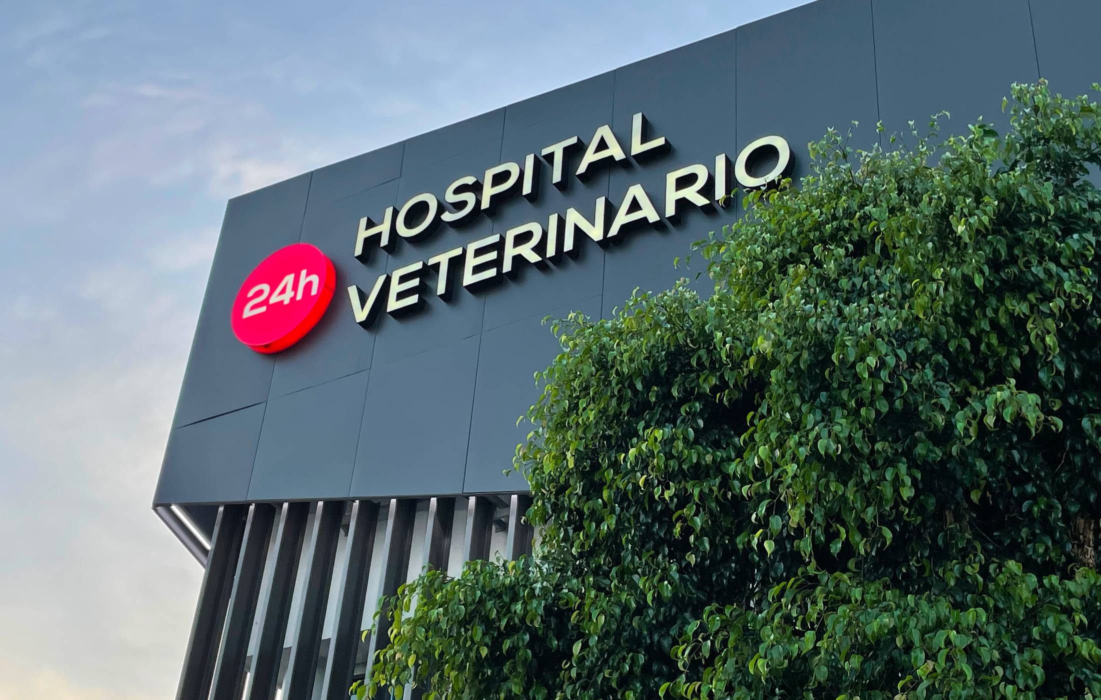 Hospital Veterinario
