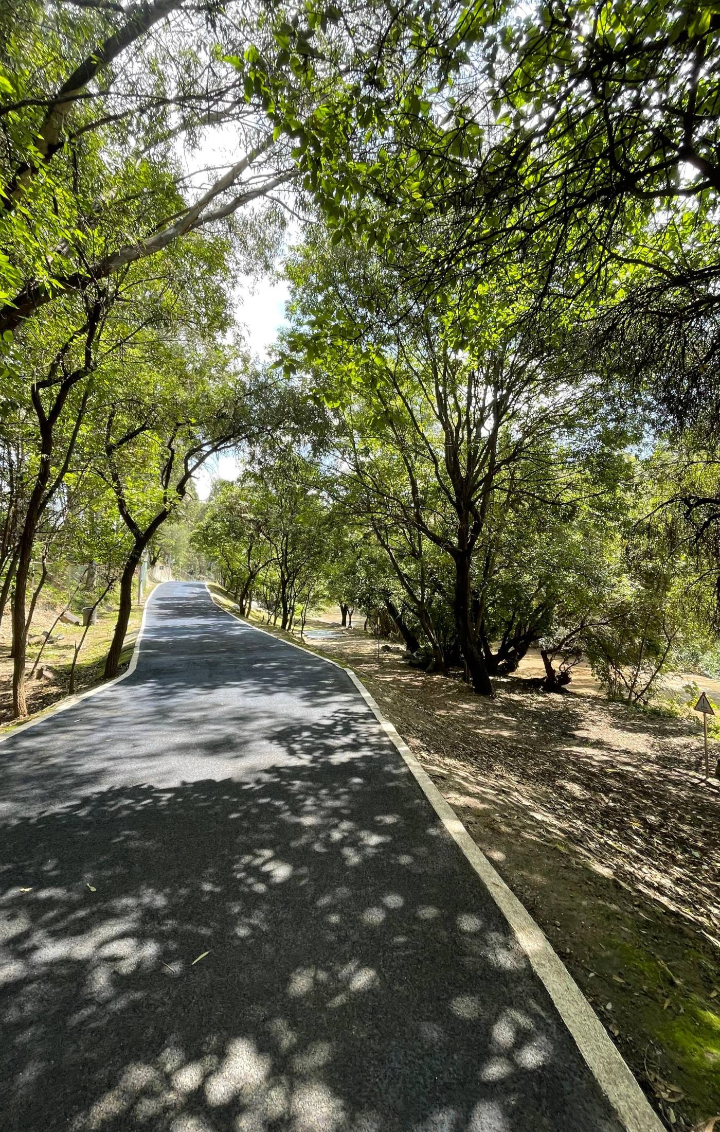 Paseo Rio Atoyac