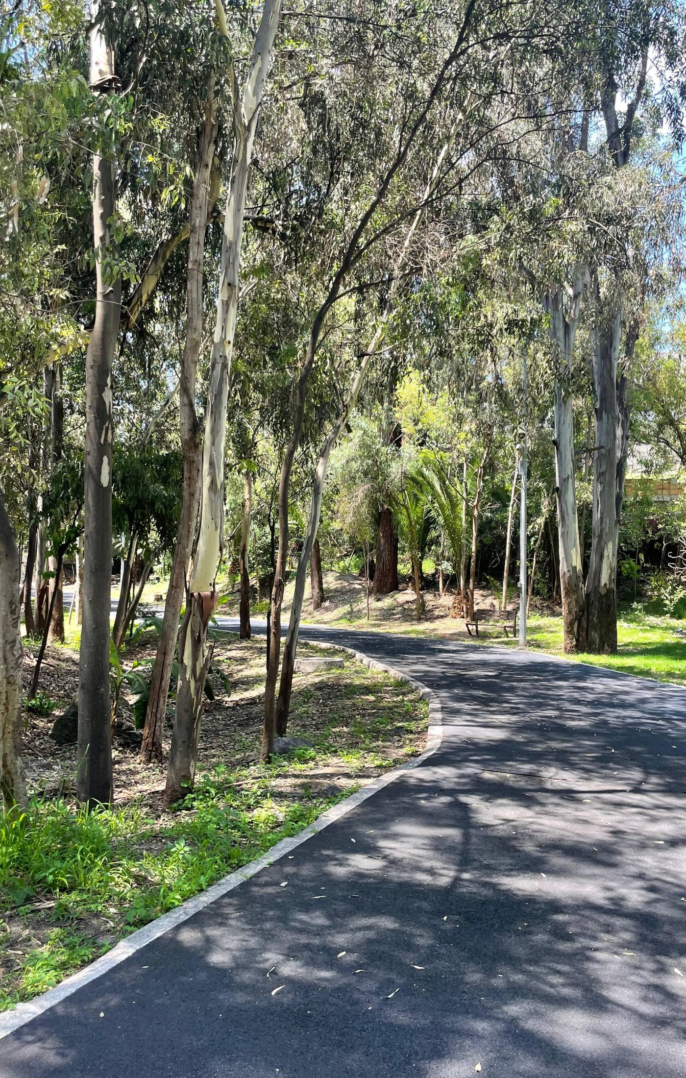Paseo Rio Atoyac