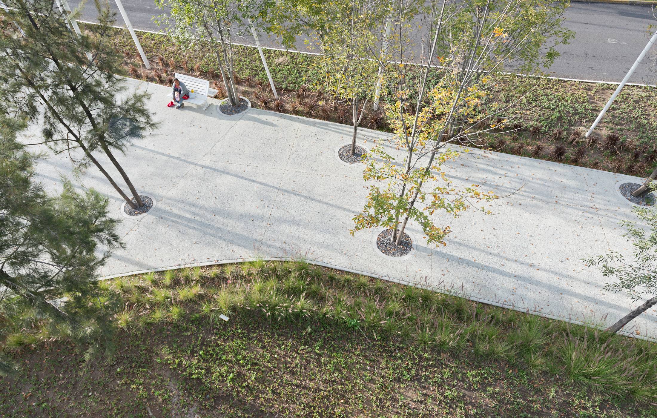 PARQUE LINEAL