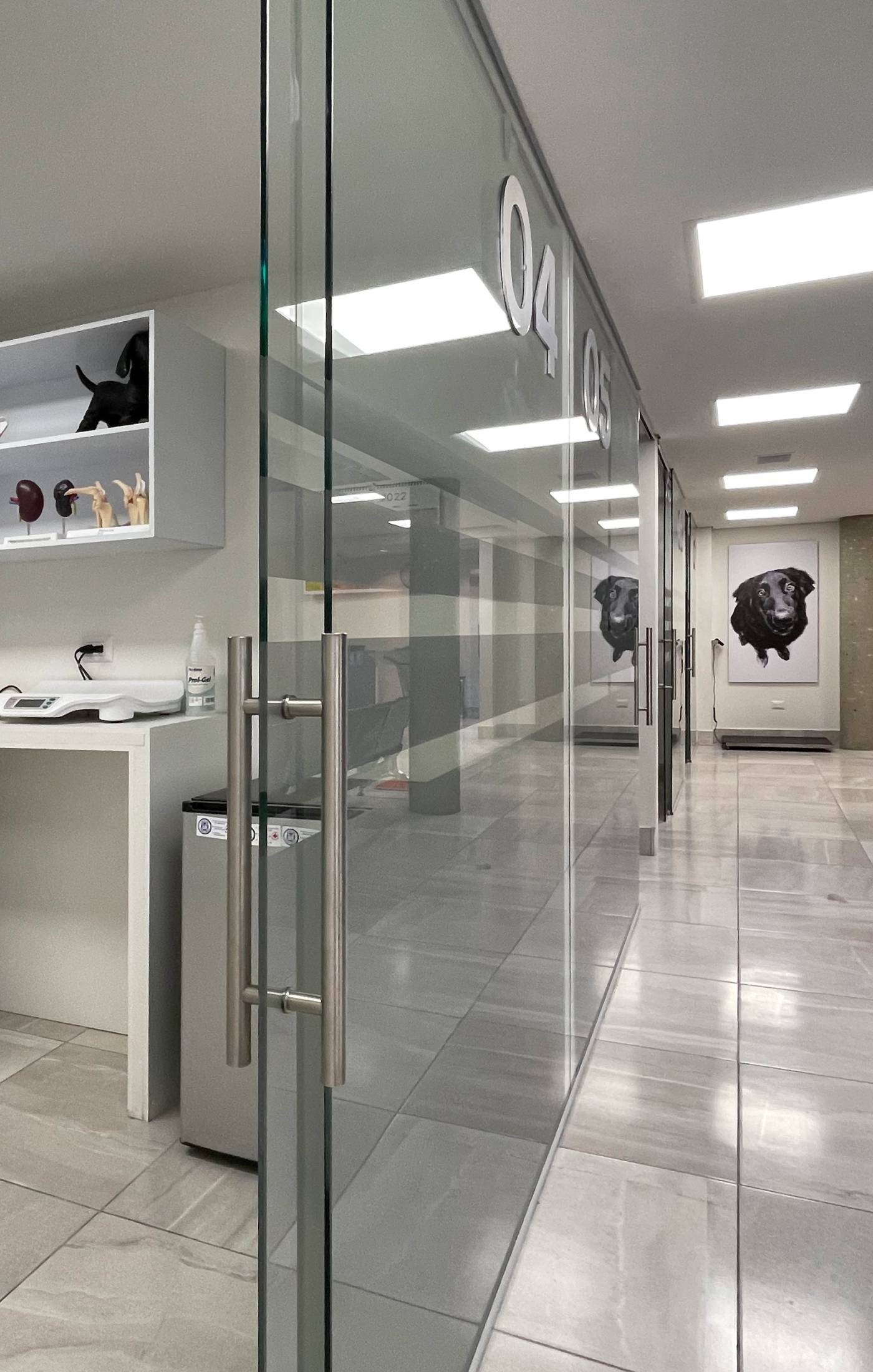 Hospital Veterinario
